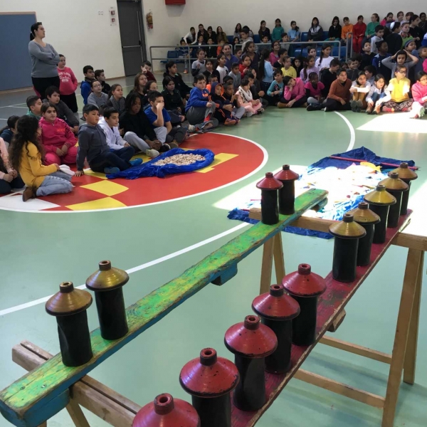  שכבתיות  12  1481709406