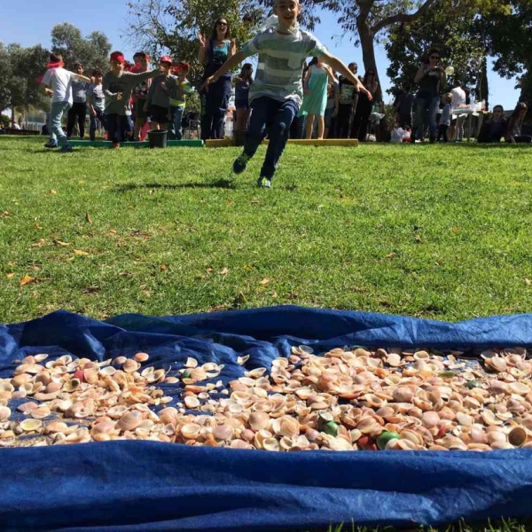  שכבתיות  14  1481709405