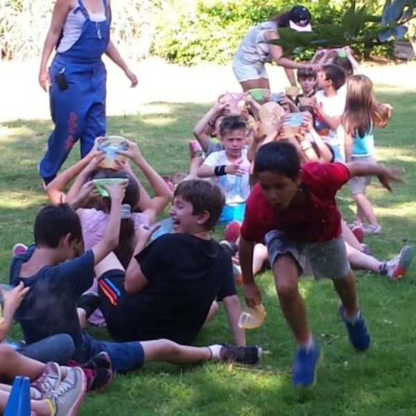  שכבתיות  3  1481709402