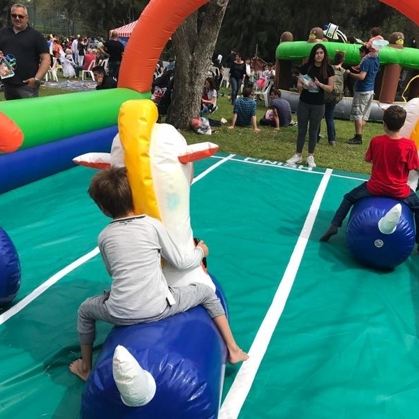 ducks race inflatables 7